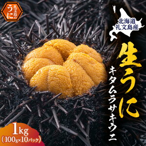 【ふるさと納税】北海道 礼文島産 採れたて キタムラサキウニ 塩水パック 100g×10 生うに 生ウニ 塩水うに 魚貝類 雲丹 1kg  お届け:2026年5月〜9月末まで