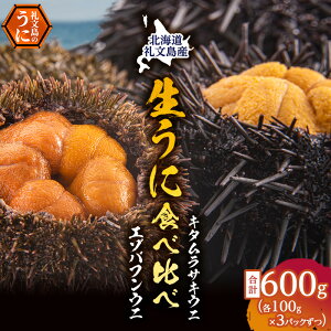 yӂ邳Ɣ[ŁzkC當Y@Ej̐Hה׃Zbg600giڈ΃otEjEL^TLEjj L _O  @͂F2026N6`8܂