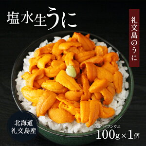 【ふるさと納税】北海道 礼文島産 塩水ウニ ( エゾバフンウニ )100g×1 生うに うに 雲丹 魚貝類 生ウニ 海の幸 肴 つまみ 海鮮 生もの 北海道産  お届け:2026年6月上旬〜8月下旬まで