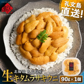 【ふるさと納税】【日時指定不在日対応不可】北海道 礼文島産 産地直送 鮮度抜群 塩水 生キタムラサキウニ 90g×1パック　お届け：2026年5月中旬～9月下旬まで