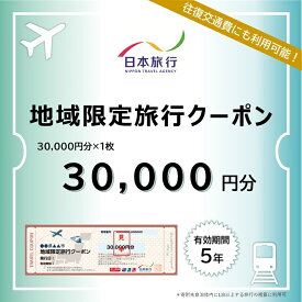 【ふるさと納税】【ふるさと納税限定】北海道 礼文町 日本旅行 地域限定旅行クーポン 30,000円分 ［株式会社日本旅行］【 旅行 トラベル クーポン チケット 宿泊券 宿泊 観光 体験 交通費 礼文島 日本旅行 家族旅行 夫婦 】