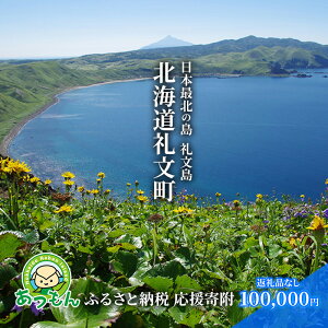 yӂ邳Ɣ[ŁzkC當 񕍂݂̂̉t 100,000~R[XiԗiȂ 񕍂̂ 100000~j