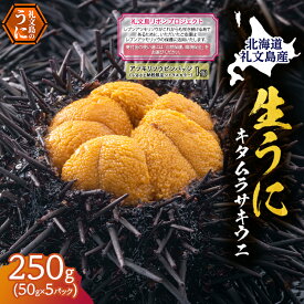 【ふるさと納税】【礼文島リボンプロジェクト】北海道 礼文島産 採れたて ミョウバン不使用 キタムラサキウニ 塩水パック 250g(50g×5個)ピンバッジ付［株式会社やまじょう］【 うに ウニ 雲丹 生うに 塩水うに 自然保護 寄付 海鮮 】　お届け：2026年5月～9月末まで