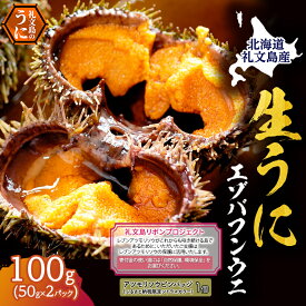 【ふるさと納税】【礼文島リボンプロジェクト】北海道 礼文島産 採れたて バフンウニ 塩水パック 50g×2 生うに 生ウニ 塩水うに 魚貝類 雲丹　お届け：2026年6月～7月末まで