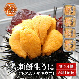 【ふるさと納税】先行予約 北海道 礼文島産 新鮮生うに（ キタムラサキウニ ）40g×4個 ウニ 雲丹 魚貝類 160g　お届け：2026年5月上旬～9月中旬まで