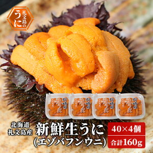 yӂ邳Ɣ[Łzs\ kC 當Y VNɁi G]otEjj40g×4 Ej _O L 160g@͂F2026N6{`8{܂