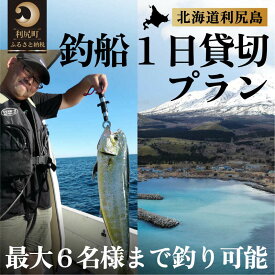 【ふるさと納税】北海道利尻島 釣船一日貸切プラン｜自然 体験 釣り 船 レンタル アクティビティ [1090005]