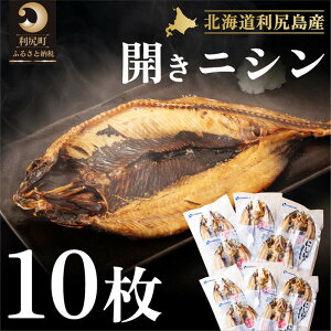 yӂ邳Ɣ[ŁzKY JjV10@CN    Ђ jV ɂ J Jɂ JjV  HHi  Mtg 蕨 K K K