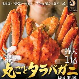 【ふるさと納税】北海道 利尻島産 タラバガニ 丸ごと1尾 3.6kg以上｜冷凍ボイル 国産 蟹 たらば カニ 茹で蟹 魚介類 [1110009]