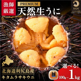 【ふるさと納税】【2026年発送受付】漁師厳選！利尻天然うに”プレミアム”ムラサキウニ 選べる100g～1kg（1パック100g）【2026年6～8月発送分】｜北海道 朝獲れ 塩水 ウニ 無添加 ミョウバン不使用 生 うに 雲丹 国産 天然 利尻 キタムラサキ ムラサキ