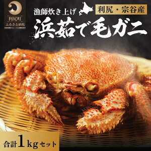 �y�ӂ邳�Ɣ[�Łz�y2026�N��s��t�z�k�C���Y �l䥂ŖуK�j ���v��1kg�i���Ⓚ�E�`���h�z���j���K�E�@�J�Y�y2����菇���o�ׁz�b�ъI �I ���� �J�j���X �I���X �{�C�� �C�N ���� [1060052]