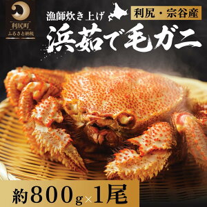 �y�ӂ邳�Ɣ[�Łz�y2026�N��s��t�z�k�C���Y �l䥂ŖуK�j�@800g�O��×1���i���Ⓚ�E�`���h�z���j���K�E�@�J�Y�y2����菇���o�ׁz�b�ъI �I ���� �J�j���X �I���X �{�C�� �C�N ���� [1060048]