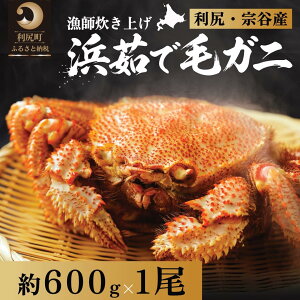 �y�ӂ邳�Ɣ[�Łz�y2026�N��s��t�z�k�C���Y �l䥂ŖуK�j�@600g�O��×1���i���Ⓚ�E�`���h�z���j���K�E�@�J�Y�y2����菇���o�ׁz�b�ъI �I ���� �J�j���X �I���X �{�C�� �C�N ���� [1060047]