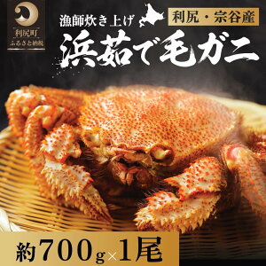 �y�ӂ邳�Ɣ[�Łz�y2026�N��s��t�z�k�C���Y �l䥂ŖуK�j 700g�O��×1���i���Ⓚ�E�`���h�z���j���K�E�@�J�Y�y2����菇���o�ׁz�b�ъI �I ���� �J�j���X �I���X �{�C�� �C�N ���� [1060139]