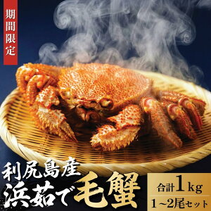 �y�ӂ邳�Ɣ[�Łz�y2026�N��s��t�z�k�C���Y �l䥂ŖуK�j ���v��1kg�i���Ⓚ�E�`���h�z���j���K�Y�y1����菇���o�ׁz�b�ъI �I ���� �J�j���X �I���X �{�C�� �C�N ���� [1060140]