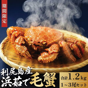 �y�ӂ邳�Ɣ[�Łz�y2026�N��s��t�z�k�C���Y �l䥂ŖуK�j ���v��1.2kg�i���Ⓚ�E�`���h�z���j���K�Y�y1����菇���o�ׁz�b�ъI �I ���� �J�j���X �I���X �{�C�� �C�N ���� [1060141]