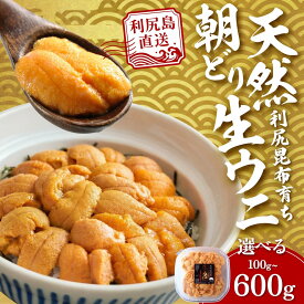 【ふるさと納税】【2026年発送受付】利尻島産 「朝どり」塩水生うに 選べる100g～600g (100g×1～6) 天然キタムラサキウニ【7~8月発送分】｜北海道 朝獲れ 天然 塩水 無添加 ミョウバン不使用
