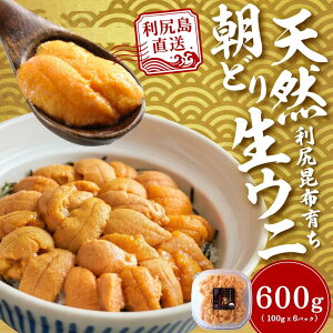 �y�ӂ邳�Ɣ[�Łz�y2026�N������t�z���K���Y �u���ǂ�v���������� �I�ׂ�100g�`600g (100g×1�`6) �V�R�L�^�����T�L�E�j�y6~8���������z�b�k�C�� ���l�� �V�R ���� ���Y�� �~���E�o���s�g�p