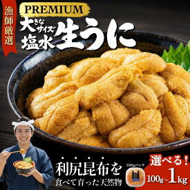 【ふるさと納税】【2026年発送受付】漁師厳選！利尻天然うに”プレミアム”ムラサキウニ 選べる100g～1kg（1パック100g）【2026年6～8月発送分】｜北海道 朝獲れ 塩水 ウニ 無添加 ミョウバン不使用 生 うに 雲丹 国産 天然 利尻 キタムラサキ ムラサキ