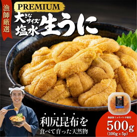 【ふるさと納税】【2026年発送受付】漁師厳選！利尻天然うに”プレミアム”ムラサキウニ 選べる100g～1kg（1パック100g）【2026年6～8月発送分】｜北海道 朝獲れ 塩水 ウニ 無添加 ミョウバン不使用 生 うに 雲丹 国産 天然 利尻 キタムラサキ ムラサキ