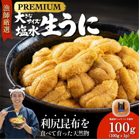 【ふるさと納税】【2026年発送受付】漁師厳選！利尻天然うに”プレミアム”ムラサキウニ 選べる100g～1kg（1パック100g）【2026年6～8月発送分】｜北海道 朝獲れ 塩水 ウニ 無添加 ミョウバン不使用 生 うに 雲丹 国産 天然 利尻 キタムラサキ ムラサキ