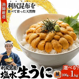 【ふるさと納税】【2026年発送受付】漁師厳選！利尻産キタムラサキウニ 選べる100g～500g（1パック100g）【2026年6～8月発送分】｜北海道 天然 朝獲れ 塩水ウニ 無添加 ミョウバン不使用