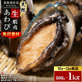 【ふるさと納税】【2026年発送　予約開始】あわび 北海道 利尻島産 直送！天然 生えぞあわび 選べる500g〜1kg 鮑 海鮮 冷蔵 お刺身 魚介 お祝い【福士水産】北海道ふるさと納税 利尻富士町 ふるさと納税 北海道産アワビ 産地直送 美味しさに 訳あり 蝦夷