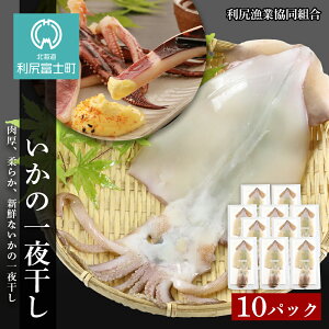 イカ 干物 魚介類の人気商品 通販 価格比較 価格 Com