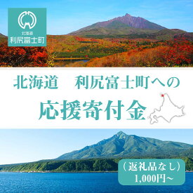 【ふるさと納税】北海道 利尻富士町☆応援寄付金☆【返礼品なし】北海道ふるさと納税 利尻富士町 ふるさと納税 北海道 寄付のみ 返礼品なし 1000円 【AQ01】