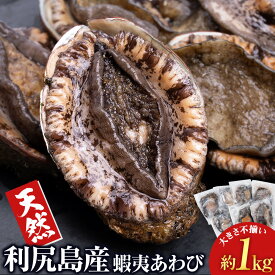 【ふるさと納税】 利尻島産 ☆天然蝦夷あわび 1kg☆北海道ふるさと納税 利尻富士町 ふるさと納税 鮑 天然 冷凍 刺身 高級海鮮 海鮮 おせち