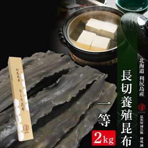 yӂ邳Ɣ[ŁzkCKY ؗ{Bzꓙ 2kgsz_qtkCӂ邳Ɣ[ Kxm ӂ邳Ɣ[ kC z Kz z o` Ru  kCYz 