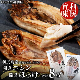 【ふるさと納税】 開きニシン＆開きほっけセット＜利尻漁業協同組合＞北海道ふるさと納税 利尻富士町 ふるさと納税 北海道
