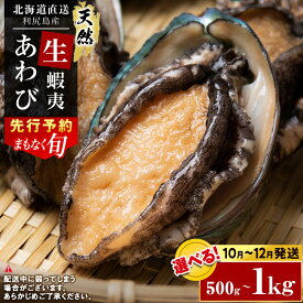 【ふるさと納税】☆選べる発送月☆あわび 北海道 利尻島産 直送！天然 生えぞあわび 選べる500g～1kg 鮑 海鮮 冷蔵 お刺身 魚介 お祝い【福士水産】北海道ふるさと納税 利尻富士町 ふるさと納税 北海道産アワビ 産地直送 美味しさに 訳あり 蝦夷あわび