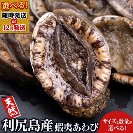 【ふるさと納税】☆選べる発送月☆ 利尻島産 ☆天然蝦夷あわび 選べるサイズ 中〜超特大・不揃い☆北海道ふるさと納税 利尻富士町 ふるさと納税 鮑 天然 冷凍 刺身 高級海鮮 海鮮 おせち