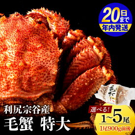 【ふるさと納税】【12月20日決済確定分まで年内発送】☆選べる発送時期☆　 毛ガニ 北海道 利尻・宗谷産 毛ガニ 特大サイズ（900g前後） 選べる1尾〜5尾 ＜利尻漁業協同組合＞北海道ふるさと納税 利尻富士町 ふるさと納税 北海道 海鮮 カニ 蟹 毛ガニ 毛蟹 蟹みそ 毛ガニ