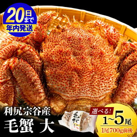 【ふるさと納税】【12月20日決済確定分まで年内発送】☆選べる発送時期☆ 北海道 利尻島産 毛ガニ 大サイズ （700g前後）選べる1尾〜5尾＜利尻漁業協同組合＞北海道ふるさと納税 利尻富士町 ふるさと納税 北海道 海鮮 北海道 カニ 蟹 毛ガニ 毛蟹 蟹みそ 濃厚 蟹棒 甲羅