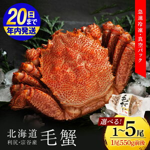 �y�ӂ邳�Ɣ[�Łz�y12��20�����ϊm�蕪�܂ŔN�������z ���I�ׂ锭���������k�C�� ���K�E�@�J�Y �уK�j �����T�C�Y�i550g�O��j �I�ׂ�1���`5�������K���Ƌ����g�����k�C���ӂ邳�Ɣ[�� ���K