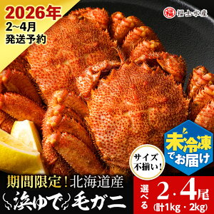yӂ邳Ɣ[Łzy2026N\z`hł͂I l䥂ŖуKjTCY Iׂ2`4 isv1kg`2kgj qmYrkCӂ邳Ɣ[ Kxm ӂ邳Ɣ[ kC C