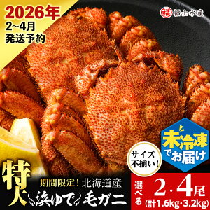 yӂ邳Ɣ[Łzy2026N\z`hł͂I l䥂ŖуKjTCY Iׂ2`4 isv1.6kg`3.2kgjqmYrkCӂ邳Ɣ[ Kxm ӂ邳Ɣ[ kC