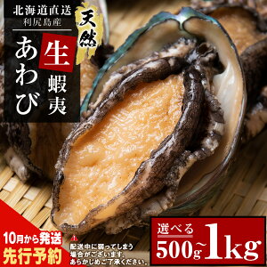 yӂ邳Ɣ[Łz  kC KY IVR  Iׂ500g`1kg  CN ① hg  jymYzkCӂ邳Ɣ[ Kxm ӂ邳Ɣ[ kCYA