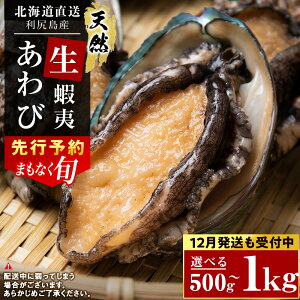 yӂ邳Ɣ[Łz 12\JnI kC KY IVR  Iׂ500g`1kg  CN ① hg  jymYzkCӂ邳Ɣ[ Kxm ӂ