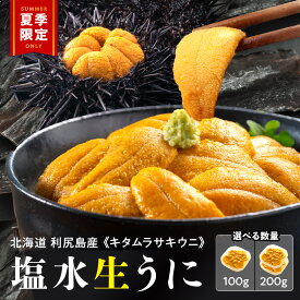 【ふるさと納税】【2026年発送予約】 ★直送 「利尻島産 塩水キタムラサキウニ」選べる100g〜200g 1パック100g《利尻漁業協同組合》北海道ふるさと納税 利尻富士町 ふるさと納税 北海道 海鮮 生うに 北海道 うに 雲丹 通販 ギフト ウニ 贈答品 贈り物 塩水生うに