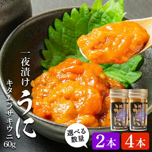 yӂ邳Ɣ[Łz KY ЂL^TLEj Iׂ2{`4{ Zbg KƋgЂ L^TLEj  ނ炳 r  kCӂ邳Ɣ[ Kx
