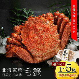 【ふるさと納税】☆選べる発送時期☆ 北海道 利尻・宗谷産 毛ガニ 中サイズ（600g前後）選べる1尾〜5尾 ＜利尻漁業協同組合＞北海道ふるさと納税 利尻富士町 ふるさと納税 北海道 海鮮 北海道 カニ 蟹 毛ガニ 毛蟹 蟹みそ 濃厚 蟹棒