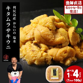 【ふるさと納税】2026年発送予約 利尻島産 塩水ムラサキウニ 選べる100g〜400g 1パック100g 昆布屋神兵衛北海道ふるさと納税 利尻富士町 ふるさと納税 北海道 海鮮 北海道 海鮮 うに 生うに 北海道 うに 雲丹 通販 ギフト ウニ 贈答品 贈り物 予約 塩水生うに