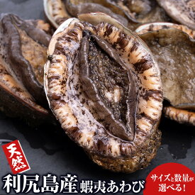 【ふるさと納税】利尻島産 ☆天然蝦夷あわび 選べるサイズ 中〜超特大・不揃い☆北海道ふるさと納税 利尻富士町 ふるさと納税 鮑 天然 冷凍 刺身 高級海鮮 海鮮 おせち