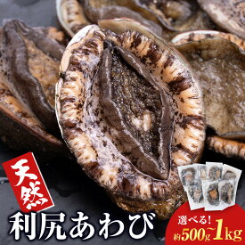 【ふるさと納税】利尻島産 利尻あわび ☆天然利尻あわび 選べるサイズ 中〜超特大・不揃い☆利尻あわび 北海道ふるさと納税 利尻富士町 ふるさと納税 鮑 天然 冷凍 刺身 高級海鮮 海鮮 おせち