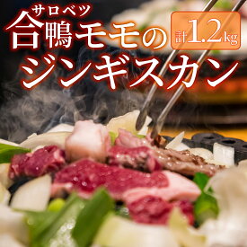 【ふるさと納税】合鴨モモジンギスカンセット 合鴨 モモ肉 ジンギスカン 北海道 特産品 新鮮 美味しい 簡単調理 人気 贅沢
