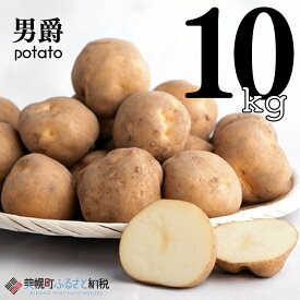 【ふるさと納税】 じゃがいも 男爵 10kg 芋 いも じゃがいも ジャガイモ イモ 野菜 男爵 男爵いも ふるさと納税 人気 おすすめ ランキング 北海道 美幌町