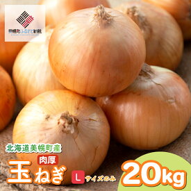 【ふるさと納税】 数量限定 訳あり 玉ねぎ 10~20kg 選べる 【R7年度産 Sサイズ 順次発送】 【 先行予約 R8年度産 Mサイズ 訳あり・Lサイズ／2026年10月上旬より順次発送】 人気 ランキング 玉ねぎ 国産 野菜 北海道 美幌町
